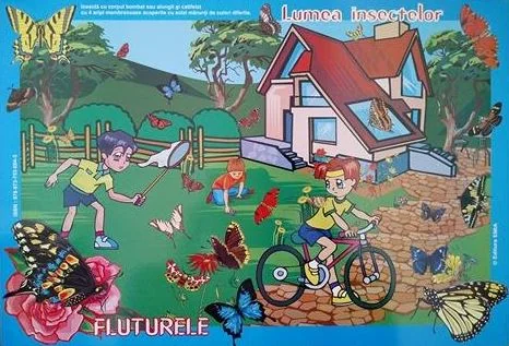 Set cu planse: In lumea insectelor - Gheorghina Micula