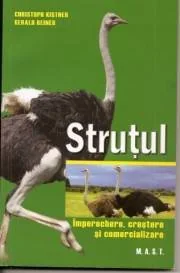 Strutul