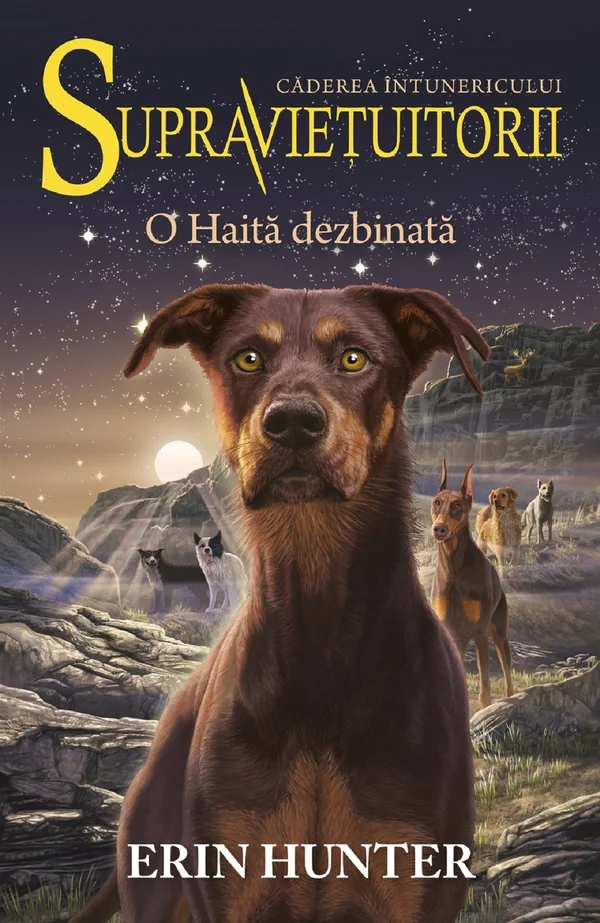 Supravietuitorii Vol.7: O haita dezbinata