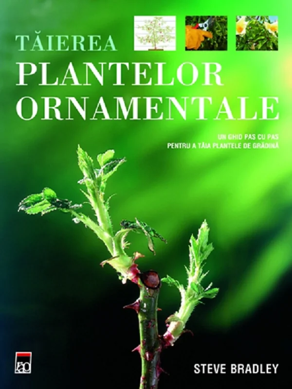 Taierea plantelor ornamentale
