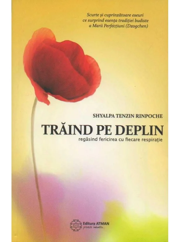 Traind Pe Deplin