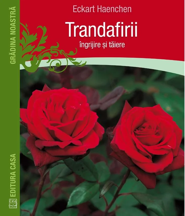 Trandafirii: Ingrijire si taiere