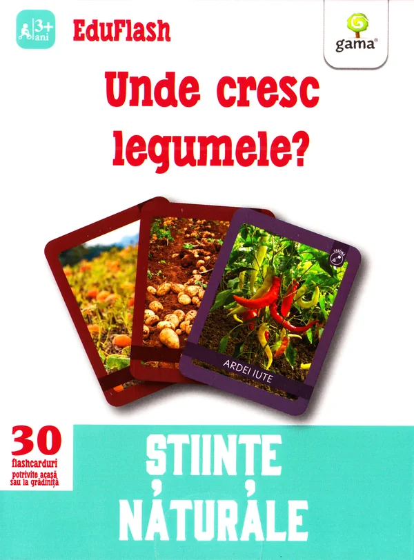 Unde cresc legumele? 3 ani+ (Eduflash)