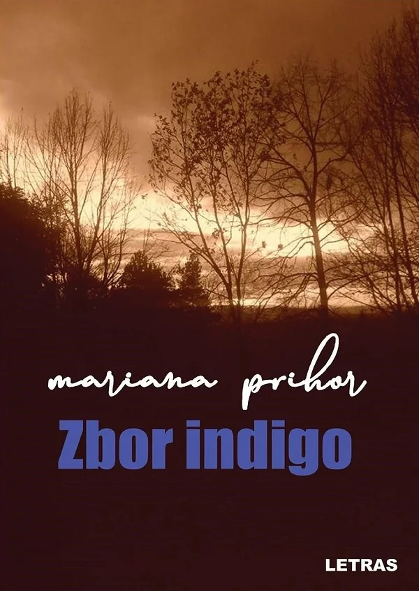 Zbor indigo